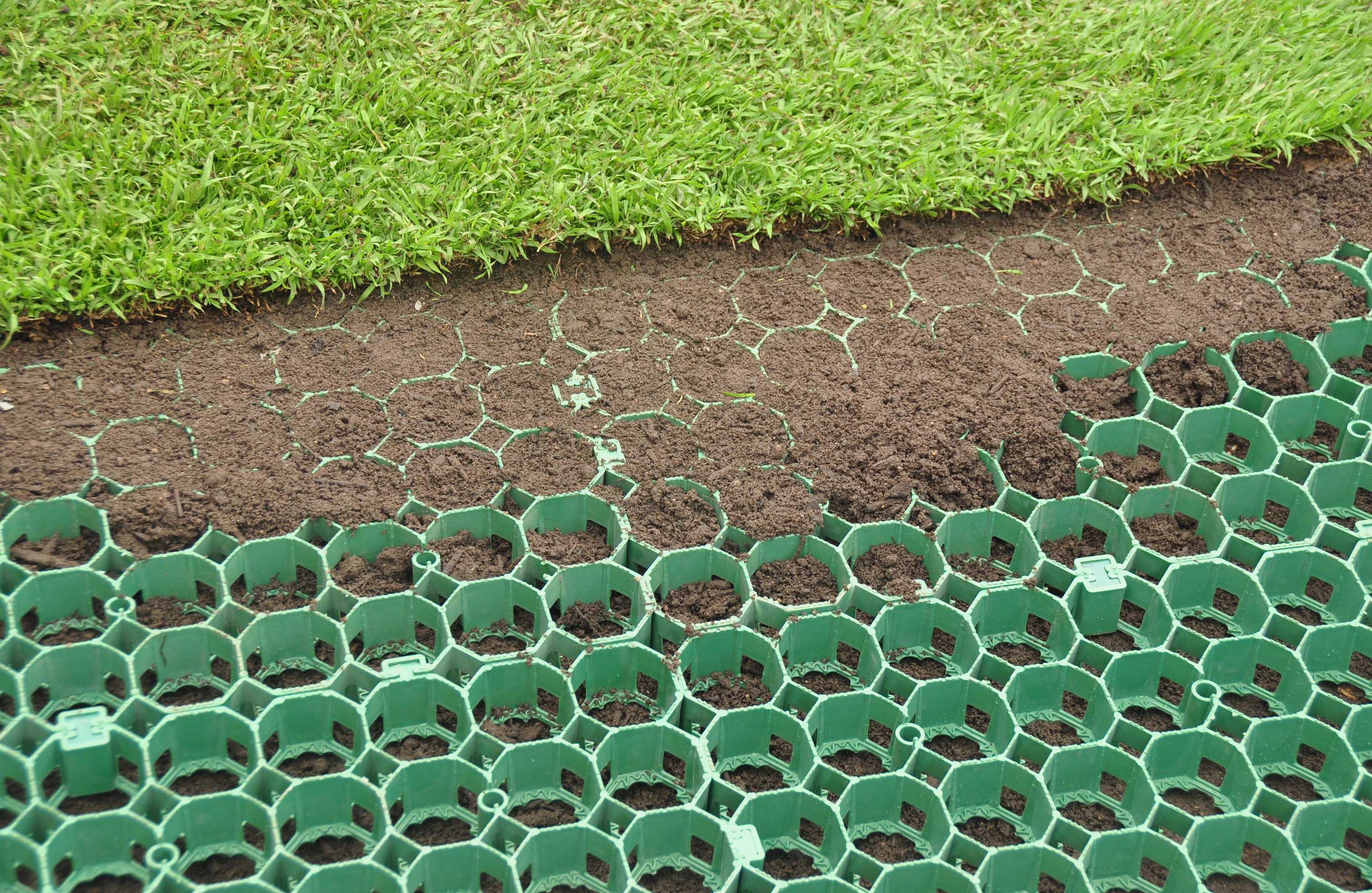Укладка газона на пластиковую зеленую газонную решетку